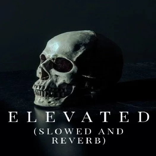 Elevated Slowed Reverb